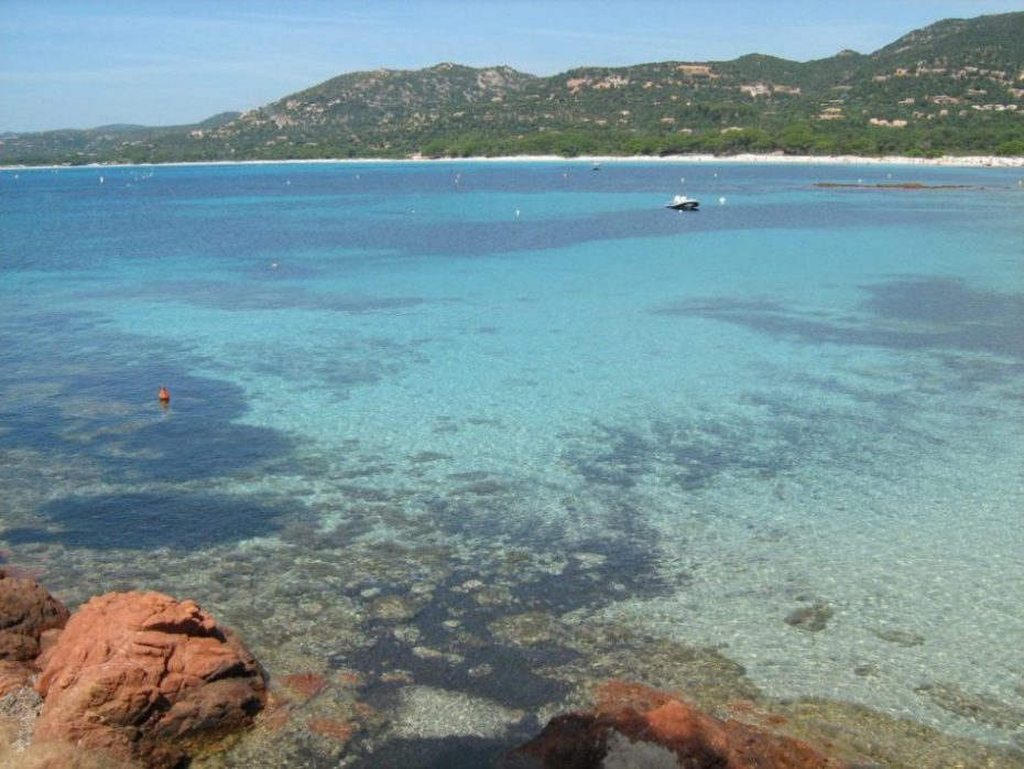 spiaggia palombaggia corsica sud