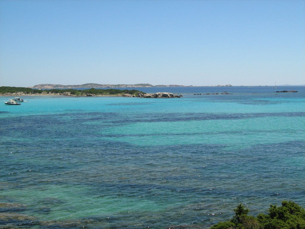 la piantarella corsica del sud