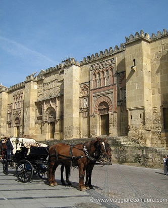 carrozza con cavalli cordoba