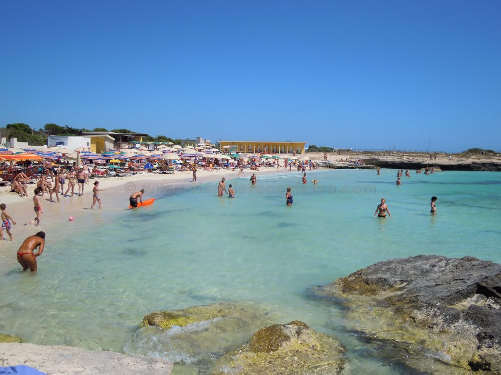 favignana come arrivare