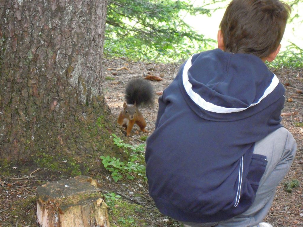 parchi divertimento in germania