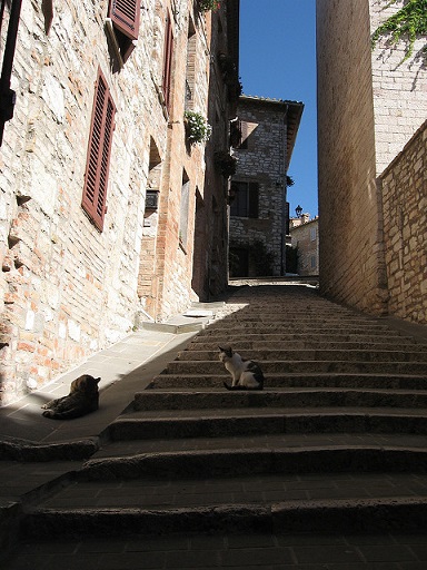 corciano umbria