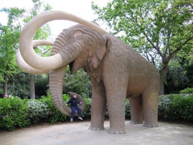 parc de la ciutadella barcellona