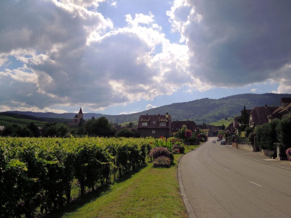alsazia-strada-del-vino
