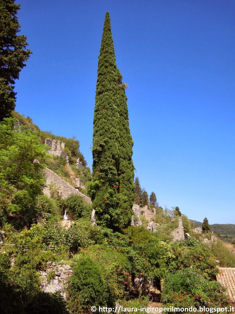 laconia grecia mystra