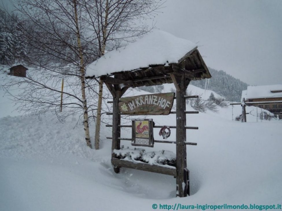 san-candido-gallo-rosso-alta-pusteria