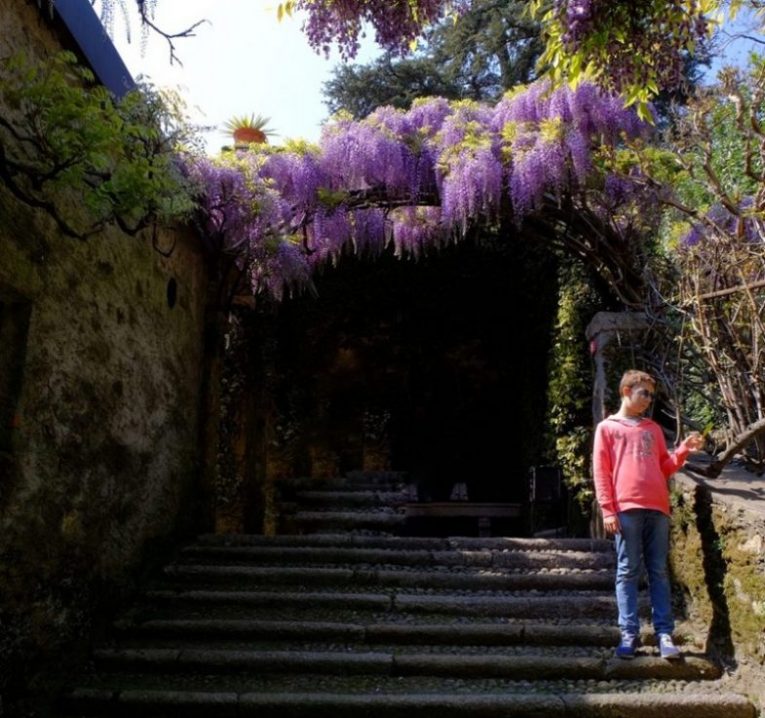 isola madre isole borromee lago maggiore