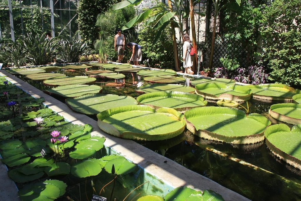 giardini-villa-taranto-pallanza-lago-maggiore