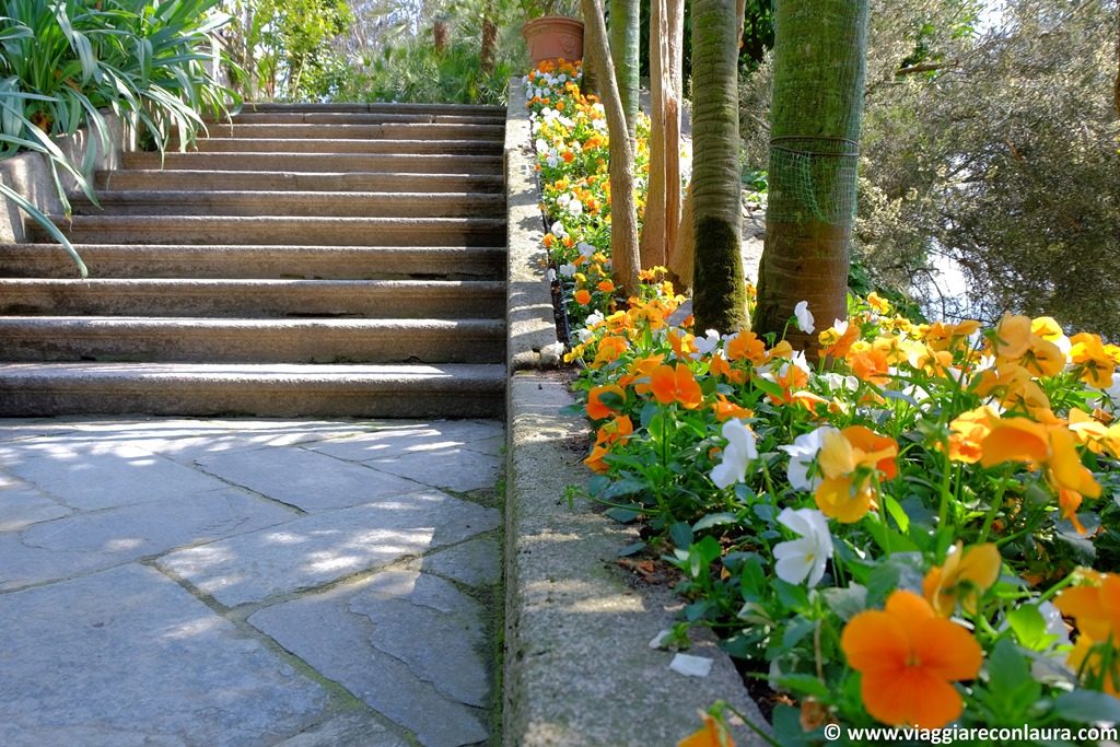 isole borromee cosa vedere