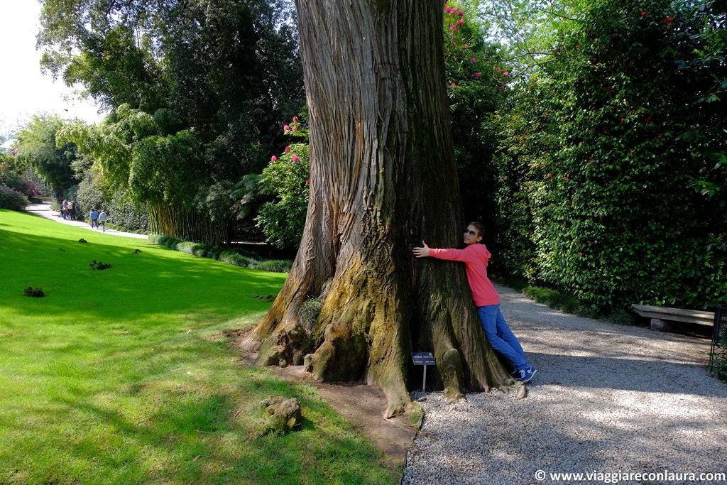 isola madre isole borromee lago maggiore