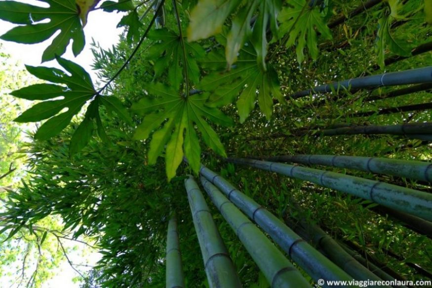isola madre isole borromee lago maggiore