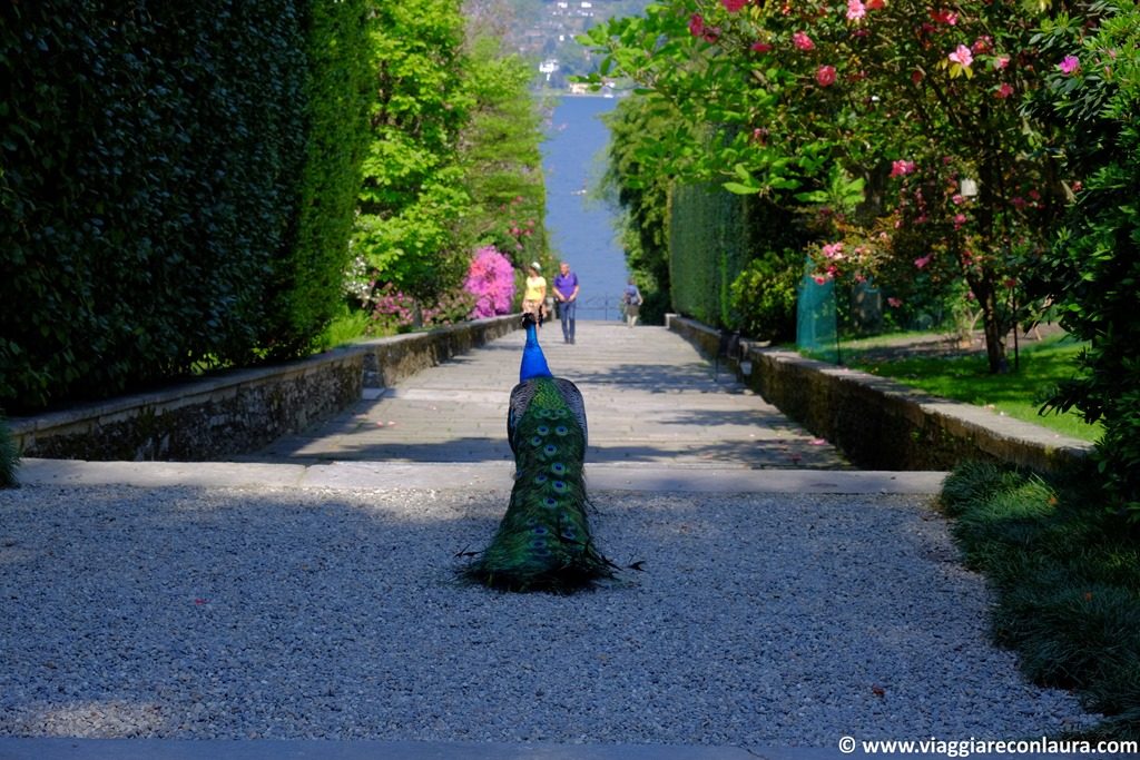 isola madre isole borromee lago maggiore