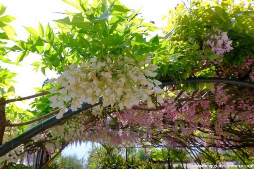 isola madre isole borromee lago maggiore