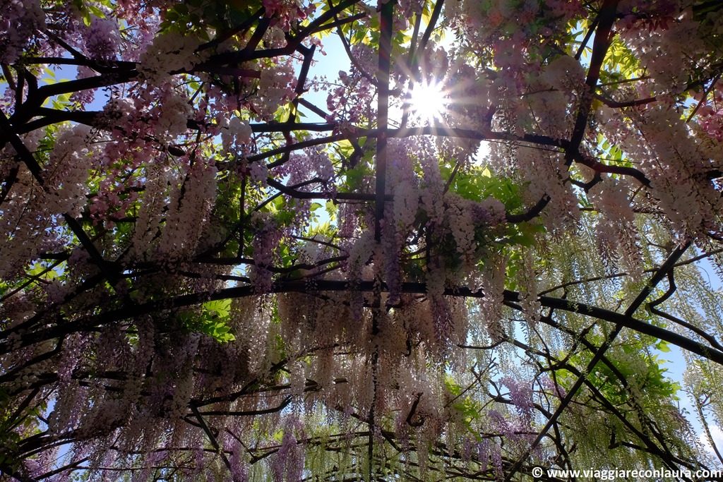 isola madre isole borromee lago maggiore