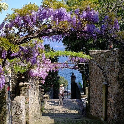 Isole Borromee, le perle del Lago Maggiore. Itinerario fra giardini e ville da sogno