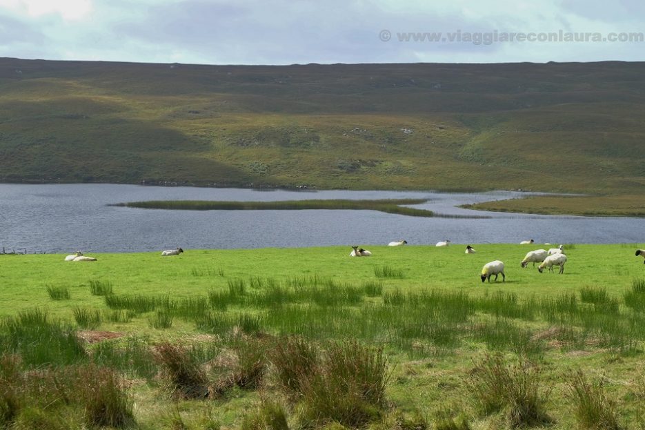 connemara irlanda tour