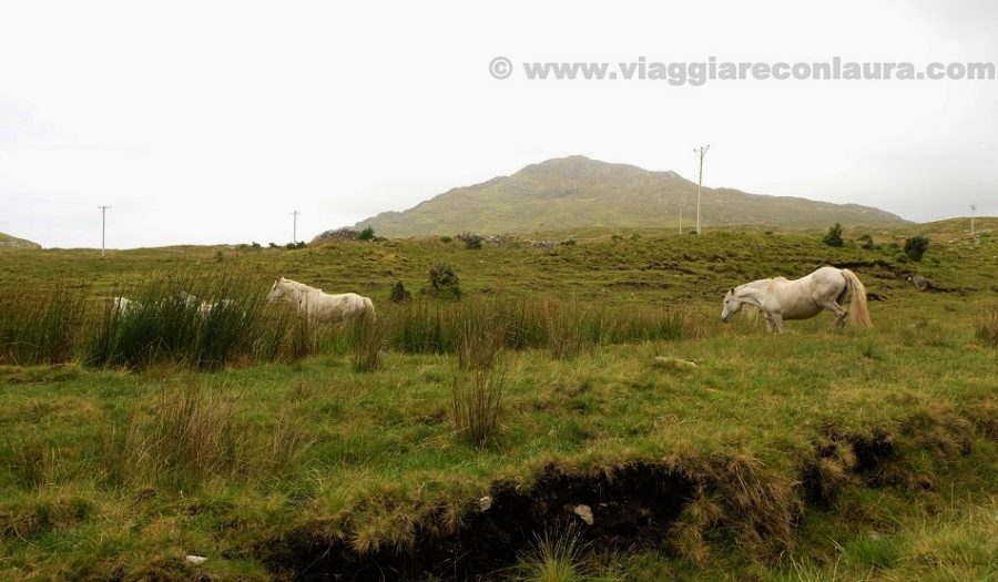 connemara irlanda tour