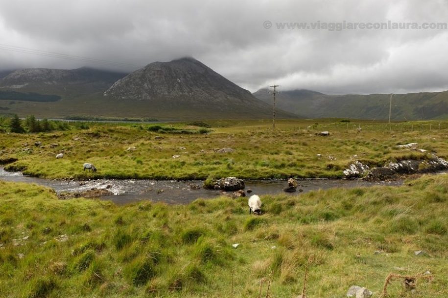 connemara irlanda tour