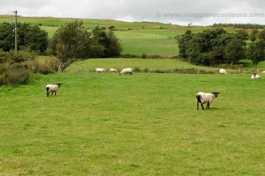 connemara irlanda tour