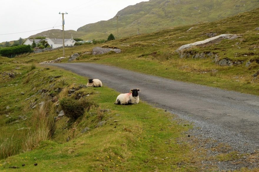 connemara irlanda tour