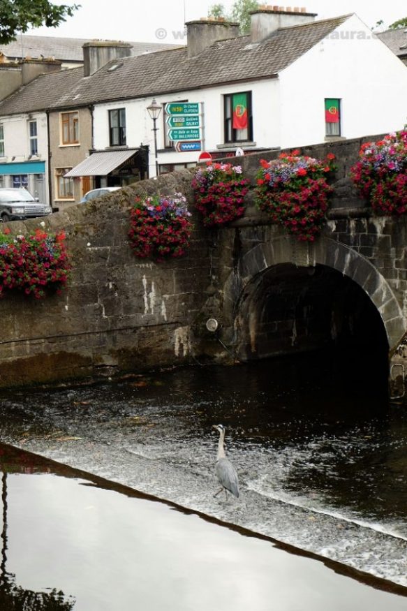 westport irlanda