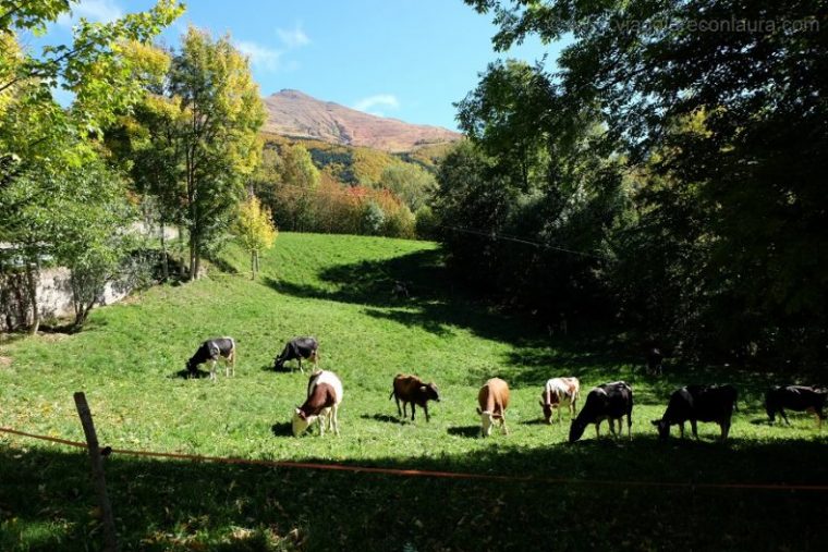 parco del frignano fiumalbo