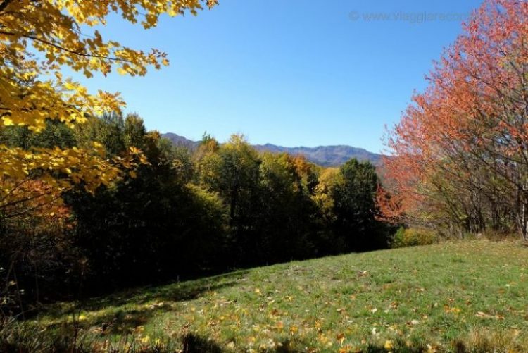 parco del frignano fiumalbo