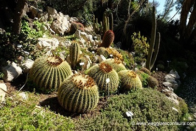 giardini hanbury ventimiglia