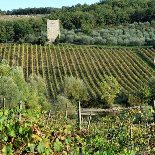 valle del chianti