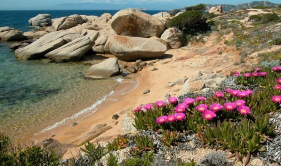 spiagge sardegna nord est