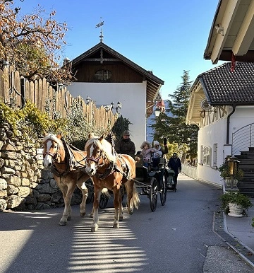 merano e dintorni cosa vedere