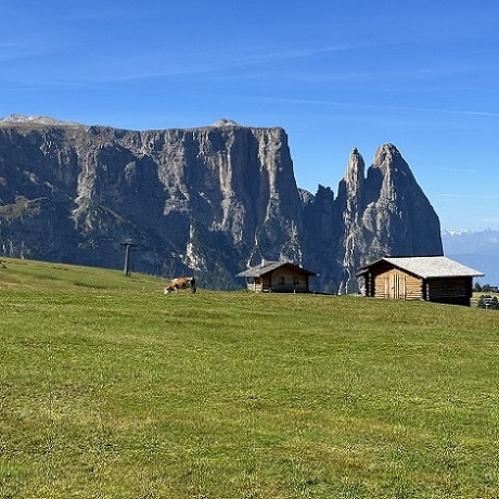 alpe di siusi come arrivare