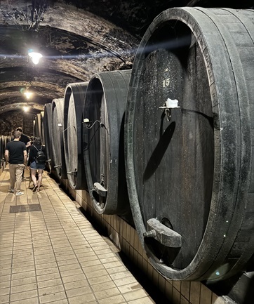 slovenia cosa vedere in 7 giorni