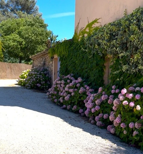 dove dormire costa azzurra