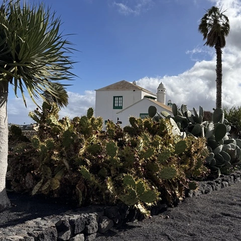 lanzarote dove alloggiare